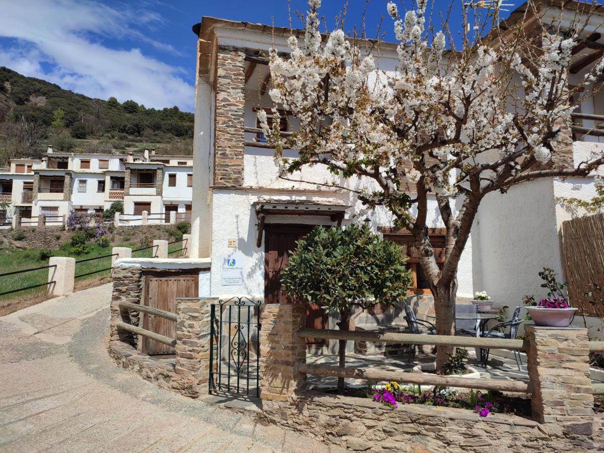 בוביון Casa Alpujarrena Fina Numero 27 מראה חיצוני תמונה