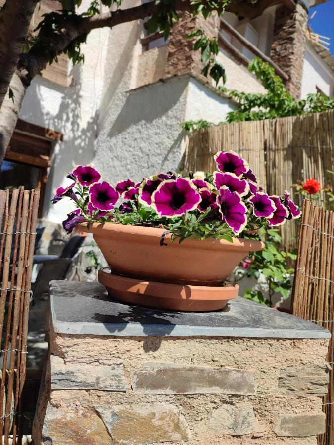 בוביון Casa Alpujarrena Fina Numero 27 מראה חיצוני תמונה